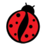 لوگو کافینو